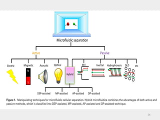cell isolation and cell isolation methods | PPT