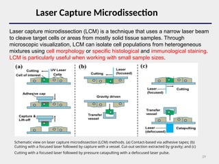 cell isolation and cell isolation methods | PPT