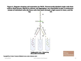 Cell isolation technique | PPTX