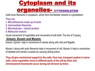Cytoplasm and its
organelles- CYTOSKELETON
Cells have filaments in cytoplasm, which form the flexible network is cytoskeleton
They are:
1. Microfilaments made up of actin
2. Intermediate filaments,
3. Microtubules – tubulin protein
4. Molecular motors:
cause movement of organelles and movement of cell itself. The are of 3 types:
kinesin, Dynein and Myosin.
kinesin, Dynein: help in movement of vesicle along with cilia and flagella.
Myosin I along with actin filaments help in movement of villi, Myosin II help in contraction
of skeletal and cardiac muscles by causing sliding action.
They all give mechanical support to the cells, form imp. transport system in nerve
cells, some organelles move to different parts of the cell by them and
chromosomal movements occur during cell division by them.
 