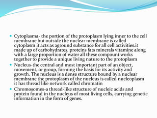  Cytoplasma- the portion of the protoplasm lying inner to the cell
membrane but outside the nuclear membrane is called
cytoplasm it acts as aground substance for all cell activities.it
made up of carbohydrates, proteins fats minerals vitamine along
with a large proportion of water all these compount works
together to provide a unique living nature to the protoplasm
 Nucleus-the central and most important part of an object,
movement, or group, forming the basis for its activity and
growth. The nucleus is a dense structure bound by a nuclear
membrane the protoplasm of the nucleus is called nucleoplasm
it has thread like network called chromatin
 Chromosomes-a thread-like structure of nucleic acids and
protein found in the nucleus of most living cells, carrying genetic
information in the form of genes.
 