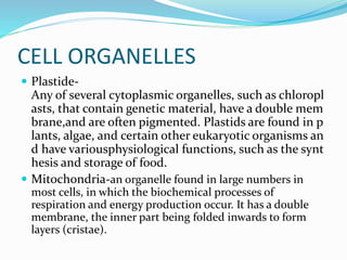 CELL ORGANELLES
 Plastide-
Any of several cytoplasmic organelles, such as chloropl
asts, that contain genetic material, have a double mem
brane,and are often pigmented. Plastids are found in p
lants, algae, and certain other eukaryotic organisms an
d have variousphysiological functions, such as the synt
hesis and storage of food.
 Mitochondria-an organelle found in large numbers in
most cells, in which the biochemical processes of
respiration and energy production occur. It has a double
membrane, the inner part being folded inwards to form
layers (cristae).
 