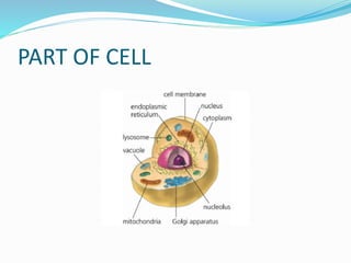 PART OF CELL
 
