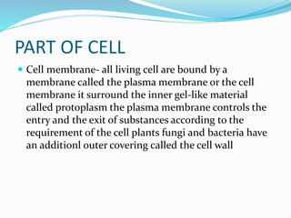 PART OF CELL
 Cell membrane- all living cell are bound by a
membrane called the plasma membrane or the cell
membrane it surround the inner gel-like material
called protoplasm the plasma membrane controls the
entry and the exit of substances according to the
requirement of the cell plants fungi and bacteria have
an additionl outer covering called the cell wall
 