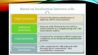Cell junction | PPTX