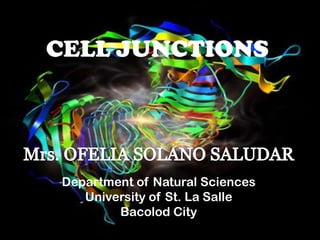 CELL JUNCTIONS




Department of Natural Sciences
   University of St. La Salle
        Bacolod City
 