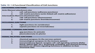 Cell Junctions | PPT