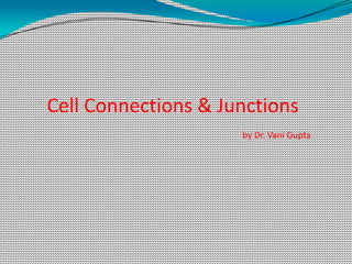 Cell Connections & Junctions
by Dr. Vani Gupta
 