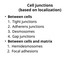 Comprehensive Overview of Cell Junctions and Plasma Membrane Structures ...