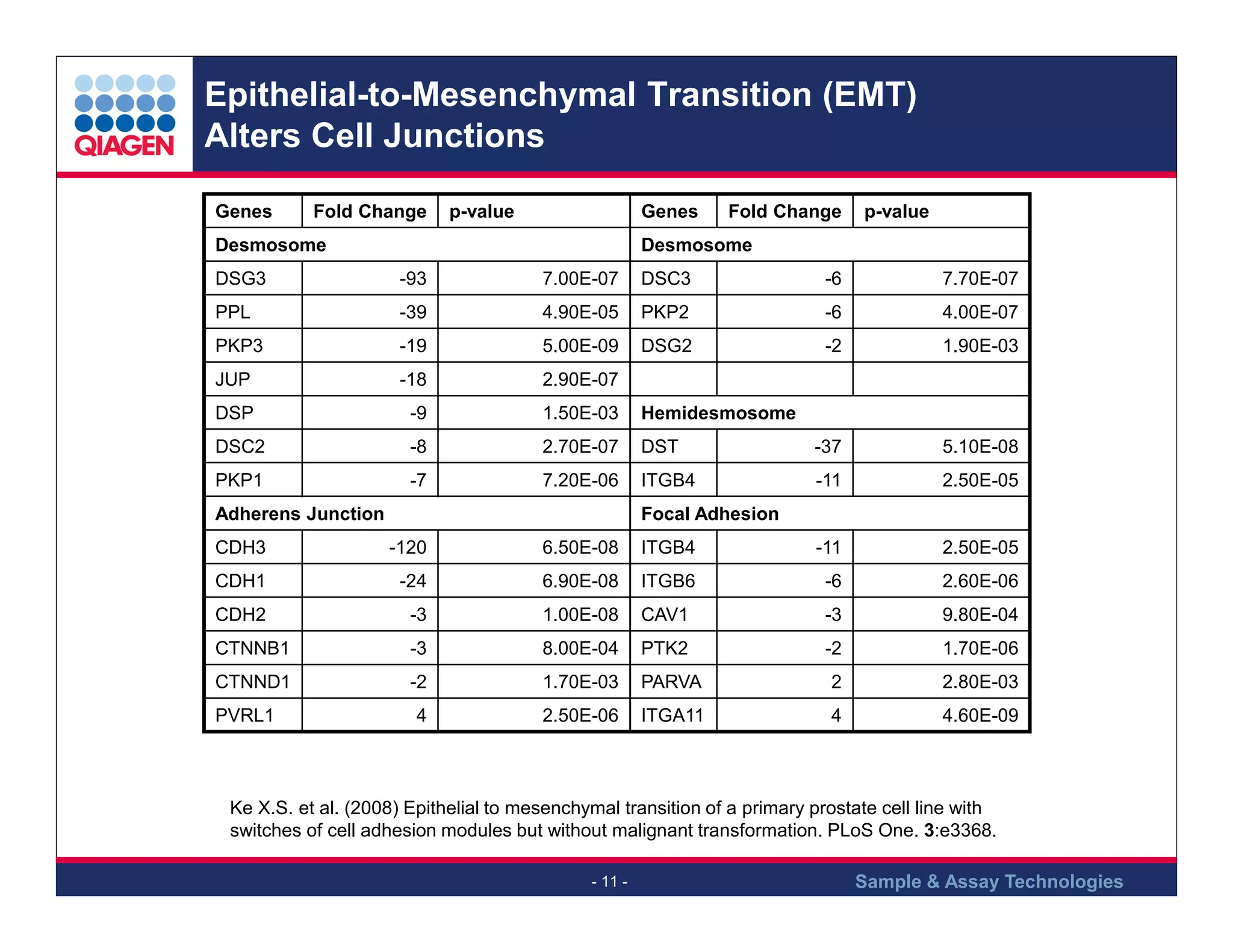 Epithelial-to-Mesenchymal Transition (EMT)
Alters Cell Junctions
Genes

Fold Change

p-value

Genes

Desmosome

Fold Change

p-value

Desmosome

DSG3

-93

7.00E-07

DSC3

-6

7.70E-07

PPL

-39

4.90E-05

PKP2

-6

4.00E-07

PKP3

-19

5.00E-09

DSG2

-2

1.90E-03

JUP

-18

2.90E-07

DSP

-9

1.50E-03

Hemidesmosome

DSC2

-8

2.70E-07

DST

-37

5.10E-08

PKP1

-7

7.20E-06

ITGB4

-11

2.50E-05

Adherens Junction

Focal Adhesion

CDH3

-120

6.50E-08

ITGB4

-11

2.50E-05

CDH1

-24

6.90E-08

ITGB6

-6

2.60E-06

CDH2

-3

1.00E-08

CAV1

-3

9.80E-04

CTNNB1

-3

8.00E-04

PTK2

-2

1.70E-06

CTNND1

-2

1.70E-03

PARVA

2

2.80E-03

4

2.50E-06

ITGA11

4

4.60E-09

PVRL1

Ke X.S. et al. (2008) Epithelial to mesenchymal transition of a primary prostate cell line with
switches of cell adhesion modules but without malignant transformation. PLoS One. 3:e3368.
- 11 -

Sample & Assay Technologies

 