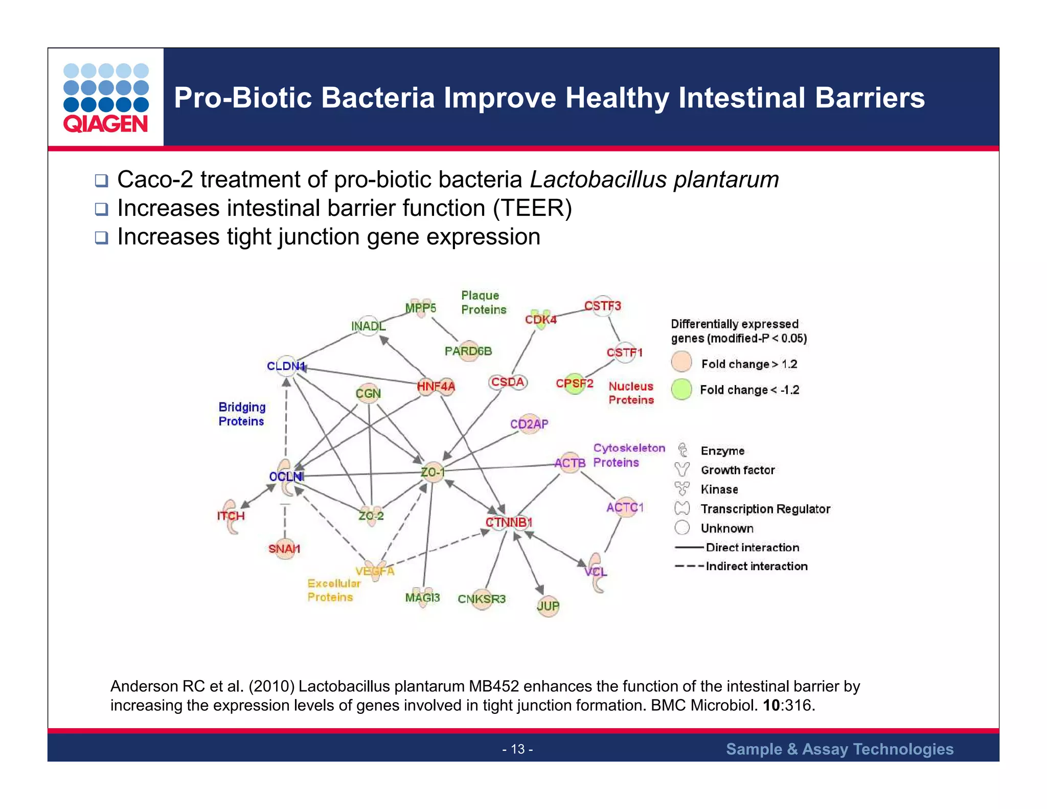 Pro-Biotic Bacteria Improve Healthy Intestinal Barriers
Caco-2 treatment of pro-biotic bacteria Lactobacillus plantarum
Increases intestinal barrier function (TEER)
Increases tight junction gene expression

Anderson RC et al. (2010) Lactobacillus plantarum MB452 enhances the function of the intestinal barrier by
increasing the expression levels of genes involved in tight junction formation. BMC Microbiol. 10:316.
- 13 -

Sample & Assay Technologies

 