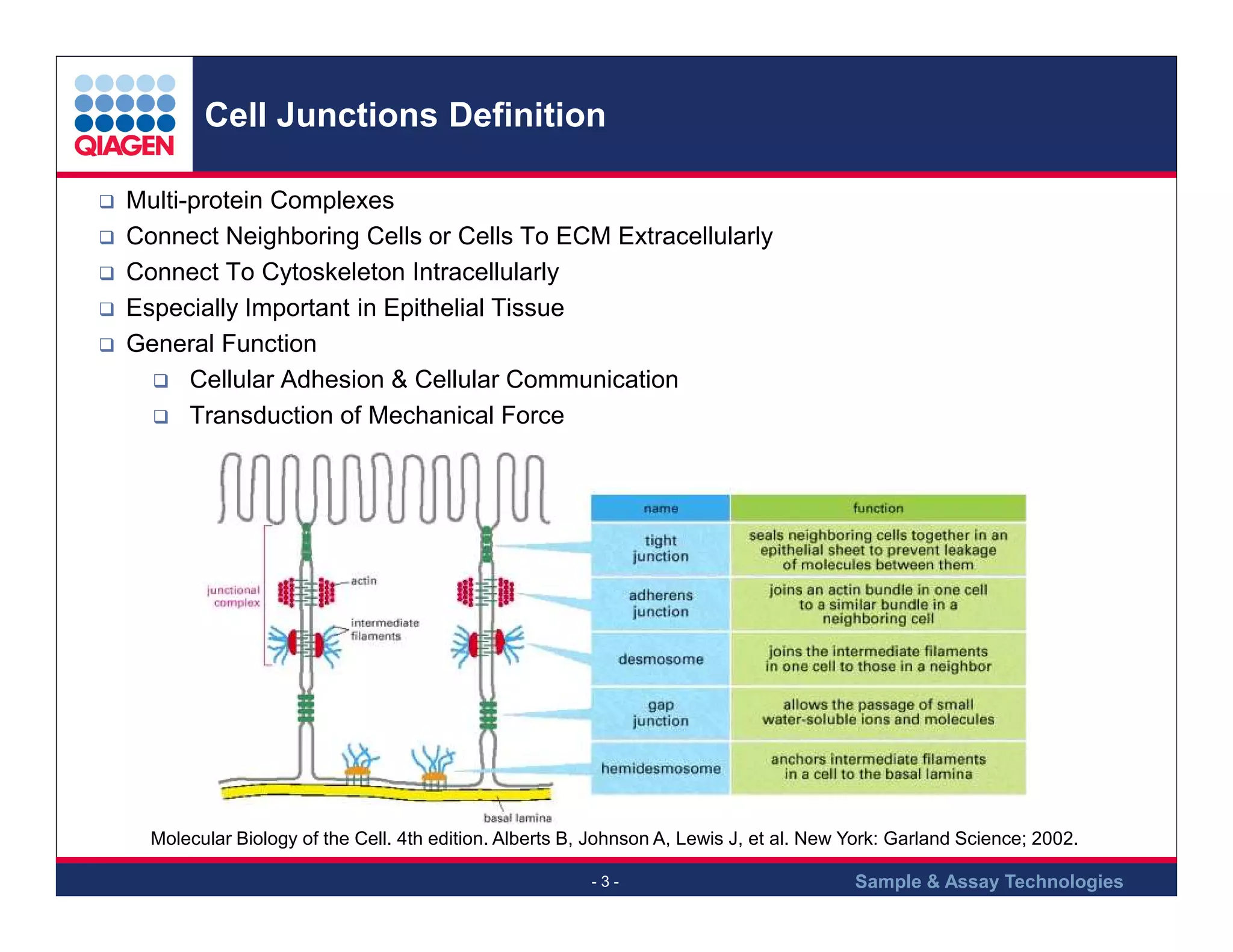 Cell Junctions Definition
Multi-protein Complexes
Connect Neighboring Cells or Cells To ECM Extracellularly
Connect To Cytoskeleton Intracellularly
Especially Important in Epithelial Tissue
General Function
Cellular Adhesion & Cellular Communication
Transduction of Mechanical Force

Molecular Biology of the Cell. 4th edition. Alberts B, Johnson A, Lewis J, et al. New York: Garland Science; 2002.
-3-

Sample & Assay Technologies

 