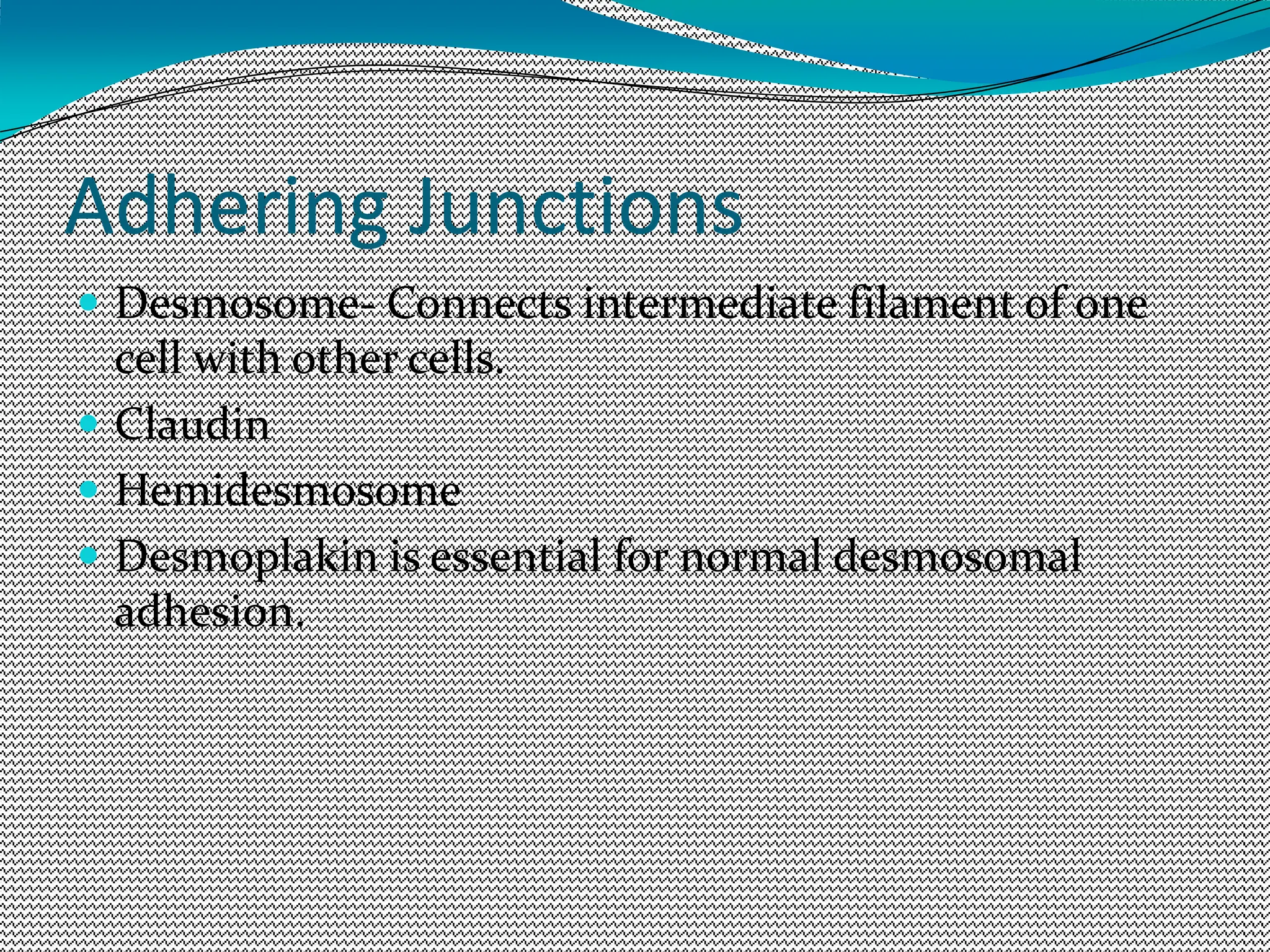 Adhering Junctions
 Desmosome- Connects intermediate filament of one
cell with other cells.
 Claudin
 Hemidesmosome
 Desmoplakin is essential for normal desmosomal
adhesion.
 
