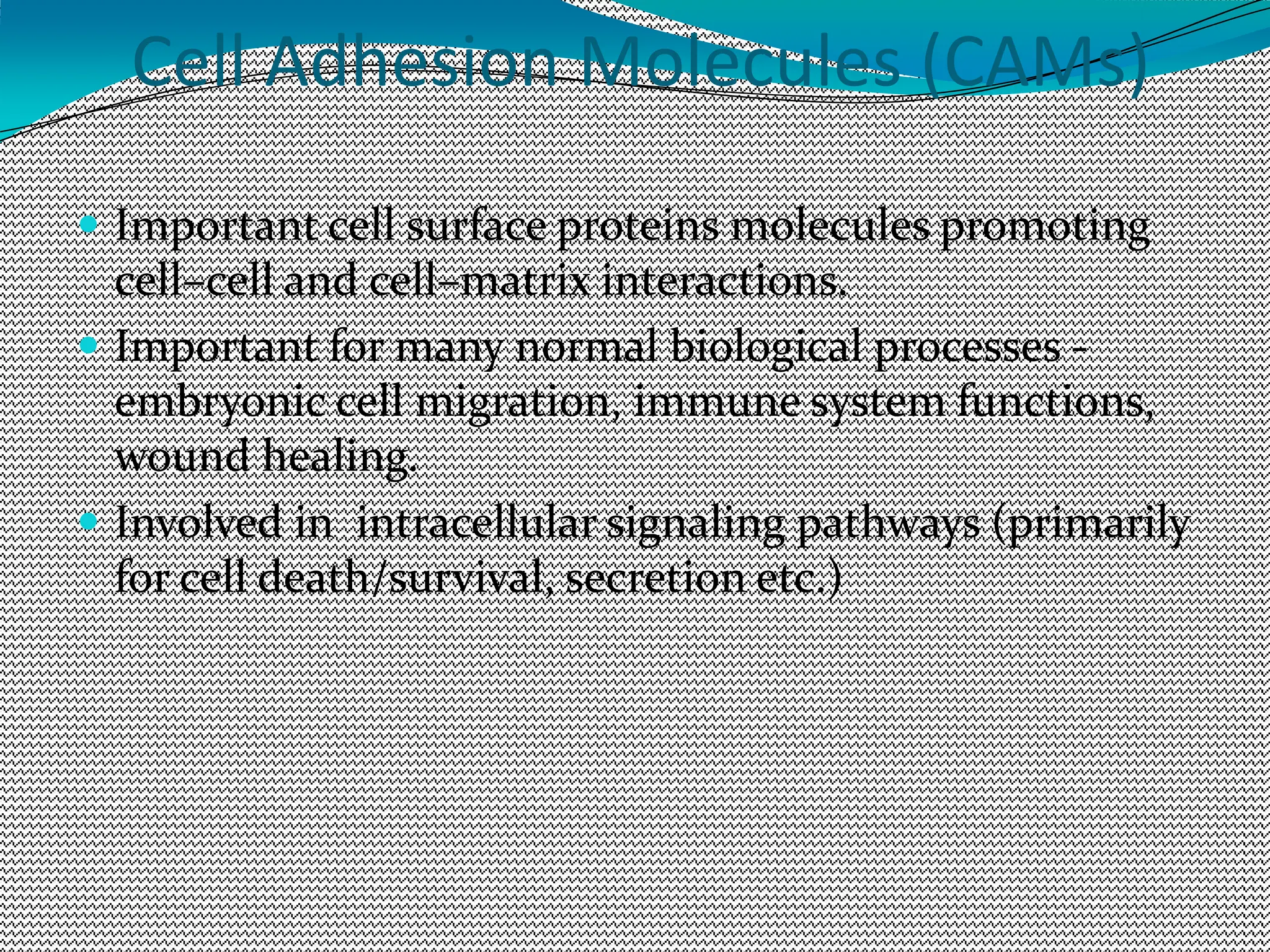 Cell Adhesion Molecules (CAMs)
 Important cell surface proteins molecules promoting
cell–cell and cell–matrix interactions.
 Important for many normal biological processes -
embryonic cell migration, immune system functions,
wound healing.
 Involved in intracellular signaling pathways (primarily
for cell death/survival, secretion etc.)
 