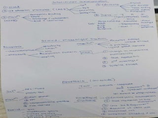 Tuesday, December 6, 2022
 