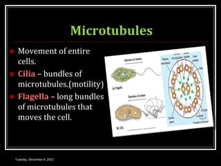 Microtubules
 Movement of entire
cells.
 Cilia – bundles of
microtubules.(motility)
 Flagella – long bundles
of microtubules that
moves the cell.
Tuesday, December 6, 2022
 