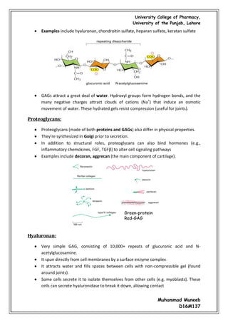 Cell junctions and the extracellular matrix | PDF