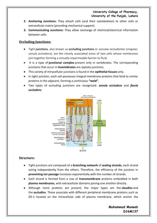 Cell junctions and the extracellular matrix | PDF