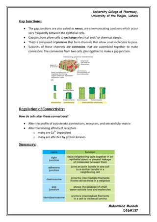 Cell junctions and the extracellular matrix | PDF