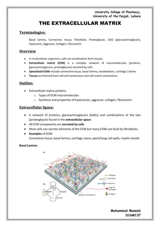 Cell junctions and the extracellular matrix | PDF