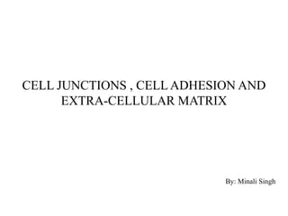 CELL JUNCTIONS , CELL ADHESION AND
EXTRA-CELLULAR MATRIX
By: Minali Singh
 