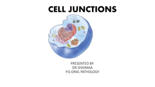 CELL JUNCTIONS
PRESENTED BY:
DR.SHAIMAA
P.G ORAL PATHOLOGY
 