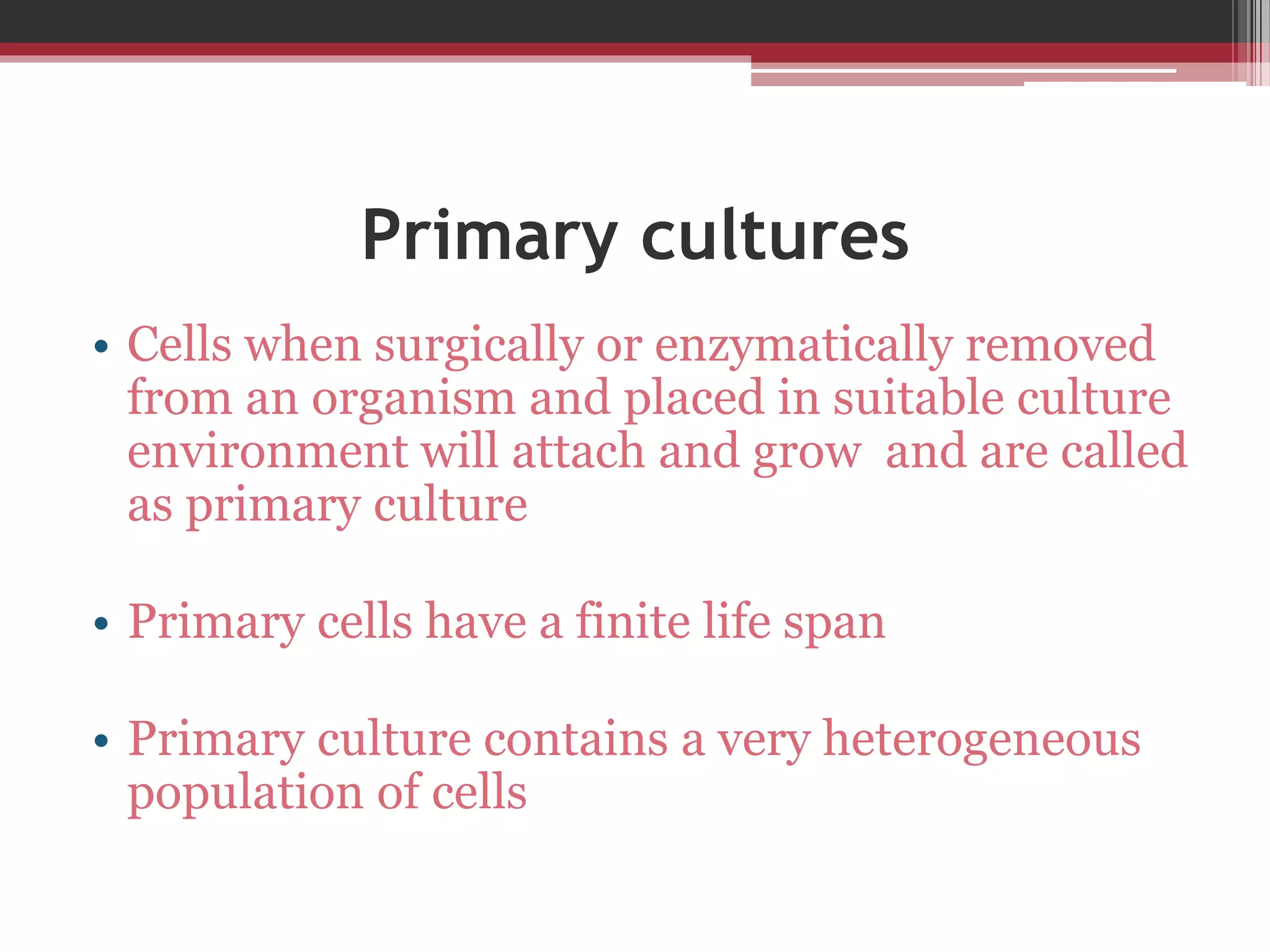 Primary cultures
• Cells when surgically or enzymatically removed
from an organism and placed in suitable culture
environment will attach and grow and are called
as primary culture
• Primary cells have a finite life span
• Primary culture contains a very heterogeneous
population of cells
 