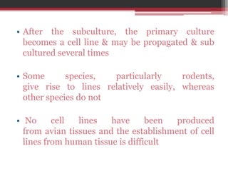 • After the subculture, the primary culture
becomes a cell line & may be propagated & sub
cultured several times
• Some species, particularly rodents,
give rise to lines relatively easily, whereas
other species do not
• No cell lines have been produced
from avian tissues and the establishment of cell
lines from human tissue is difficult
 