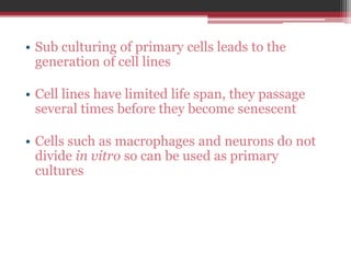 • Sub culturing of primary cells leads to the
generation of cell lines
• Cell lines have limited life span, they passage
several times before they become senescent
• Cells such as macrophages and neurons do not
divide in vitro so can be used as primary
cultures
 