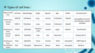 Fibroblast
Types of cell
line
Cell lines Morphology Origin Species Age Ploidy Characteristics
IMR-90
MRC-5 Fibroblast
Fibroblast Lung Human Embryonic Diploid
Lung Human Embryonic Diploid
Susceptible to human
viral infection contact
inhibited
Finite from
normal
tissue
Continuous
from
normal
tissue
HaCaT Epithelial Keratino
cytes
Human Adult Diploid Comification
BRL3A Epithelial Liver Rat New born Produce IGF-2
-
Continuous
from
neuroplastic
tissue
HeLa Epithelial Cervix Human Adult Aneuploid G6PD Type A
B16 Fibroblast Melanoma Mouse Adult Aneuploid Melanin
 Types of cell lines :
 