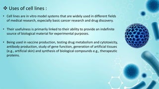  Uses of cell lines :
• Cell lines are in vitro model systems that are widely used in different fields
of medical research, especially basic cancer research and drug discovery.
• Their usefulness is primarily linked to their ability to provide an indefinite
source of biological material for experimental purposes.
• Being used in vaccine production, testing drug metabolism and cytotoxicity,
antibody production, study of gene function, generation of artificial tissues
(e.g., artificial skin) and synthesis of biological compounds e.g., therapeutic
proteins.
 