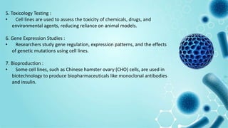 5. Toxicology Testing :
• Cell lines are used to assess the toxicity of chemicals, drugs, and
environmental agents, reducing reliance on animal models.
6. Gene Expression Studies :
• Researchers study gene regulation, expression patterns, and the effects
of genetic mutations using cell lines.
7. Bioproduction :
• Some cell lines, such as Chinese hamster ovary (CHO) cells, are used in
biotechnology to produce biopharmaceuticals like monoclonal antibodies
and insulin.
 