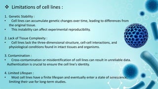  Limitations of cell lines :
1. Genetic Stability :
• Cell lines can accumulate genetic changes over time, leading to differences from
the original tissue.
• This instability can affect experimental reproducibility.
2. Lack of Tissue Complexity :
• Cell lines lack the three-dimensional structure, cell-cell interactions, and
physiological conditions found in intact tissues and organisms.
3. Contamination :
• Cross-contamination or misidentification of cell lines can result in unreliable data.
Authentication is crucial to ensure the cell line's identity.
4. Limited Lifespan :
• Most cell lines have a finite lifespan and eventually enter a state of senescence,
limiting their use for long-term studies.
 