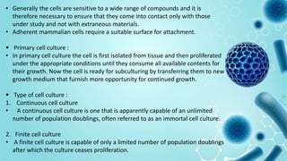 • Generally the cells are sensitive to a wide range of compounds and it is
therefore necessary to ensure that they come into contact only with those
under study and not with extraneous materials.
• Adherent mammalian cells require a suitable surface for attachment.
 Primary cell culture :
• In primary cell culture the cell is first isolated from tissue and then proliferated
under the appropriate conditions until they consume all available contents for
their growth. Now the cell is ready for subculturing by transferring them to new
growth medium that furnish more opportunity for continued growth.
 Type of cell culture :
1. Continuous cell culture
• A continuous cell culture is one that is apparently capable of an unlimited
number of population doublings, often referred to as an immortal cell culture.
2. Finite cell culture
• A finite cell culture is capable of only a limited number of population doublings
after which the culture ceases proliferation.
 