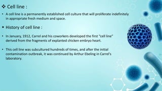  Cell line :
• A cell line is a permanently established cell culture that will proliferate indefinitely
in appropriate fresh medium and space.
• In January, 1912, Carrel and his coworkers developed the first “cell line”
derived from the fragments of explanted chicken embryo heart.
• This cell line was subcultured hundreds of times, and after the initial
contamination outbreak, it was continued by Arthur Ebeling in Carrel's
laboratory.
 History of cell line :
 