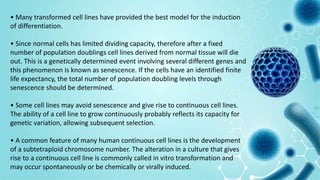 • Many transformed cell lines have provided the best model for the induction
of differentiation.
• Since normal cells has limited dividing capacity, therefore after a fixed
number of population doublings cell lines derived from normal tissue will die
out. This is a genetically determined event involving several different genes and
this phenomenon is known as senescence. If the cells have an identified finite
life expectancy, the total number of population doubling levels through
senescence should be determined.
• Some cell lines may avoid senescence and give rise to continuous cell lines.
The ability of a cell line to grow continuously probably reflects its capacity for
genetic variation, allowing subsequent selection.
• A common feature of many human continuous cell lines is the development
of a subtetraploid chromosome number. The alteration in a culture that gives
rise to a continuous cell line is commonly called in vitro transformation and
may occur spontaneously or be chemically or virally induced.
 