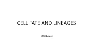 CELL FATE AND LINEAGES
M.SC botany
 