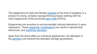 The epigenome of male and female gametes at the time of syngamy is a
product of a long, complex reprogramming process starting with the
naïve epigenome of the primordial germ cells (PGCs).
Epigenomes are sensitive to environmentally induced alterations in gene
expression. These epigenetic modifications can result in reproductive,
behavioral, and metabolic disorders.
Apart from the direct effect on individual epigenomes, the alteration in
the germline can transmit the disorders through generations.
 