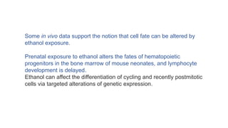 Some in vivo data support the notion that cell fate can be altered by
ethanol exposure.
Prenatal exposure to ethanol alters the fates of hematopoietic
progenitors in the bone marrow of mouse neonates, and lymphocyte
development is delayed.
Ethanol can affect the differentiation of cycling and recently postmitotic
cells via targeted alterations of genetic expression.
 