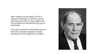 After mapping various sections of the C.
elegans' cell lineage, Dr. Brenner and his
associates were able to piece together the
first complete and reproducible fate map of
cell lineage.
They later received the 2002 Nobel prize for
their work in genetic regulation of organ
development and programmed cell death.
 