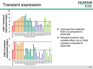 0 
1 
2 
3 
DG44-2B 
C2 
Sort-1 
Sort-2 
Sort-3 
Sort-4 
Sort-5 
Sort-6 
Clone-7 
Clone-11 
Clone-26 
Clone-27 
Clone-36 
Clone-46 
Clone-56 
Clone-59 
Stat-1 
Stat-2 
Stat-3 
Stat-4 
Stat-5 
Stat-6 
8 mM 
6 mM 
4 mM 
2 mM 
1 mM 
mAb 2 transient 
expression (mg/L) 
mAb 1 transient 
expression (mg/L) 
0 
2 
4 
6 
8 
10 
12 
DG44-2B 
C2 
Sort-1 
Sort-2 
Sort-3 
Sort-4 
Sort-5 
Sort-6 
Clone-7 
Clone-11 
Clone-26 
Clone-27 
Clone-36 
Clone-46 
Clone-56 
Clone-59 
Stat-1 
Stat-2 
Stat-3 
Stat-4 
Stat-5 
Stat-6 
8 mM 
6 mM 
4 mM 
2 mM 
1 mM 
Transient expression 
16 
► Improved titre obtained 
from C2 compared to 
DG44-2B 
► Directed evolution had 
variable effect: up to 3-fold 
increase compared to 
DG44-2B 
 