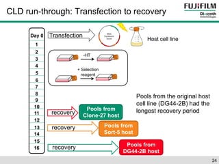 24 
CLD run-through: Transfection to recovery 
Pools from 
Clone-27 host 
Transfection 
recovery 
Pools from 
Sort-5 host 
Pools from 
DG44-2B host 
recovery 
recovery 
Host cell line 
Day 0 
1 
2 
3 
4 
5 
6 
7 
8 
9 
10 
11 
12 
13 
14 
15 
16 
Pools from the original host 
cell line (DG44-2B) had the 
longest recovery period 
-HT 
+ Selection 
reagent 
 