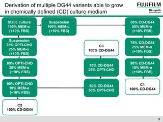 Derivation of multiple DG44 variants able to grow 
in chemically defined (CD) culture medium 
Static culture 
100% MEM-α 
(+10% FBS) 
Suspension 
100% MEM-α 
(+10% FBS) 
50% CD-DG44 
50% MEM-α 
(+10% FBS) 
75% CD-DG44 
25% MEM-α 
(+10% FBS) 
90% CD-DG44 
10% MEM-α 
(+10% FBS) 
C1 
100% CD-DG44 
Suspension 
75% OPTI-CHO 
25% MEM-α 
(+10% FBS) 
80% OPTI-CHO 
20% MEM-α 
(+10% FBS) 
90% OPTI-CHO 
10% MEM-α 
(+10% FBS) 
C2 
100% CD-DG44 
C3 
100% CD-DG44 
75% CD-DG44 
25% OPTI-CHO 
50% CD-DG44 
50% OPTI-CHO 
9 
 