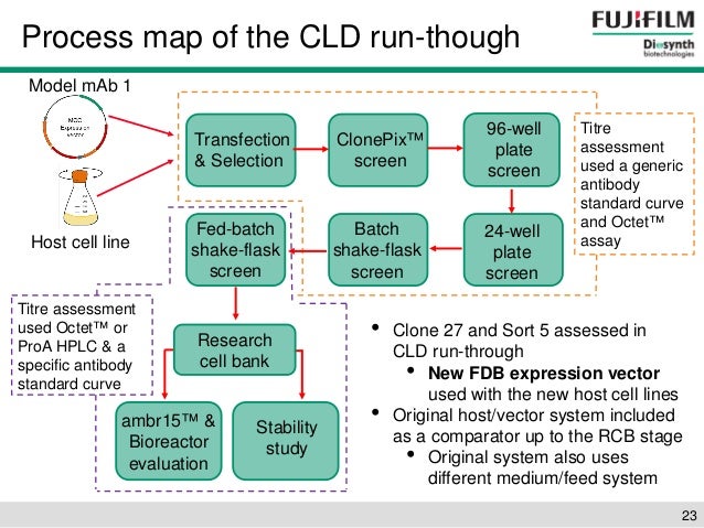 Cell Line Development: Reducing timelines and increasing titres