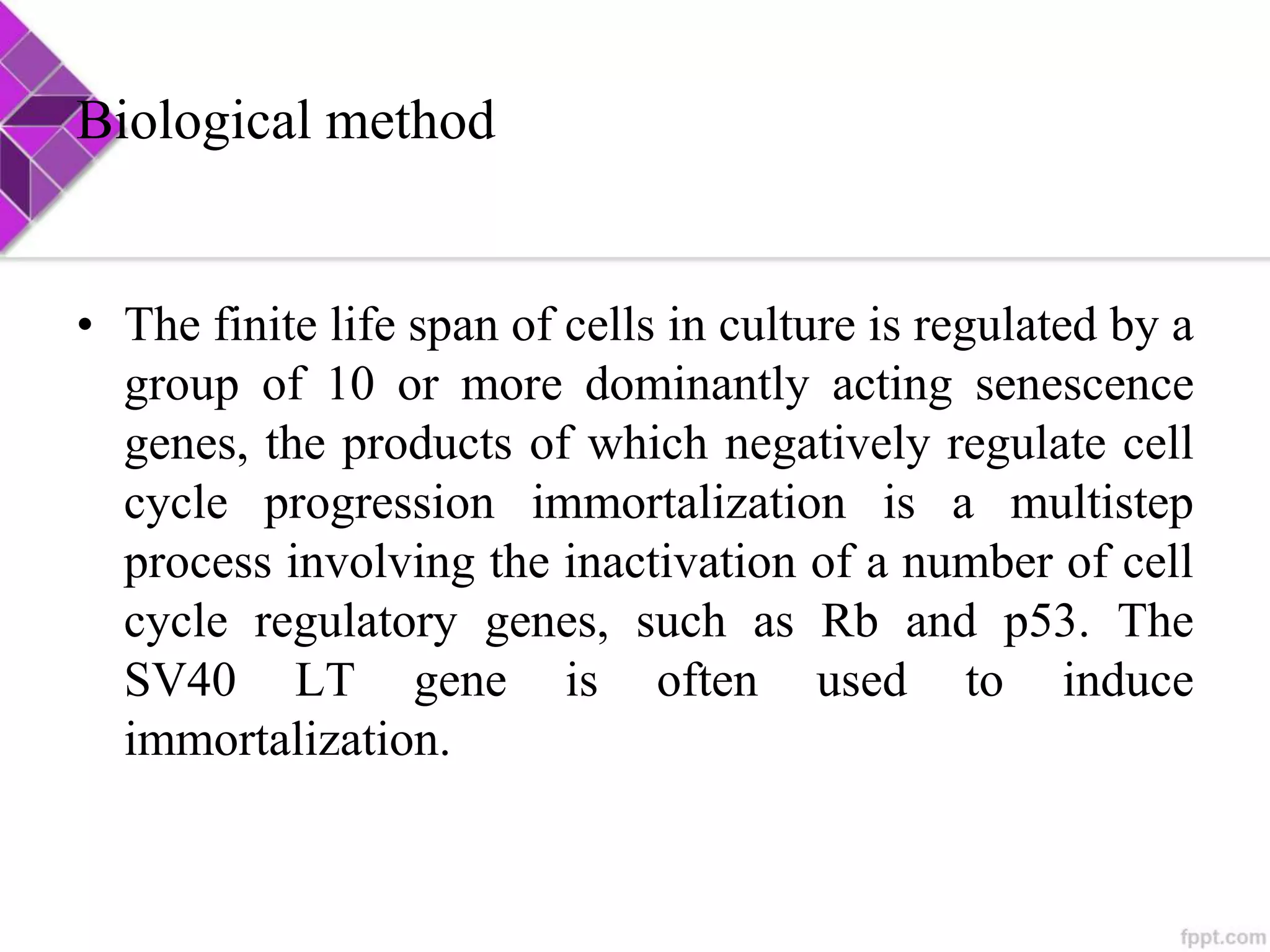 Cell line development | PPTX