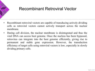 Recombinant Retroviral Vector
• Recombinant retroviral vectors are capable of transducing actively dividing
cells as retroviral vectors cannot actively transport across the nuclear
membrane.
• During cell division, the nuclear membrane is disintegrated and thus the
viral DNA can access host genome. Once the nucleus has been bypassed,
retrovirus can integrate into the host genome efficiently, giving rise to
permanent and stable gene expression. However, the transduction
efficiency of target cells using retroviral vectors is low, especially in slowly
dividing primary cells.
 