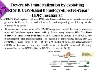 Reversibly immortalization by exploiting
CRISPR/Cas9-based homology-directed-repair
(HDR) mechanism
• CRISPR/Cas9 system induces DNA double-strand breaks at specific sites of
genomic DNA, which should allow safer and targeted gene delivery of the
immortalizing genes.
• Bone marrow stromal stem cells (BMSCs) represent one of the most commonly-
used MSCs(Mesenchymal stem cells ). Maintaining primary BMSCs( Bone
marrow stromal stem cells (BMSCs) in long-term culture is challeging, the
establishment and characterization of reversibly immortalized mouse BMSCs
(imBMSCs) done through the CRISPR/Cas9- mediated homology-directed-repair
(HDR) mechanism by targeting SV40T to mouse Rosa26 locus and efficiently
immortalize mouse BMSCs (i.e., imBMSCs). (Hu et al., 2017).
 