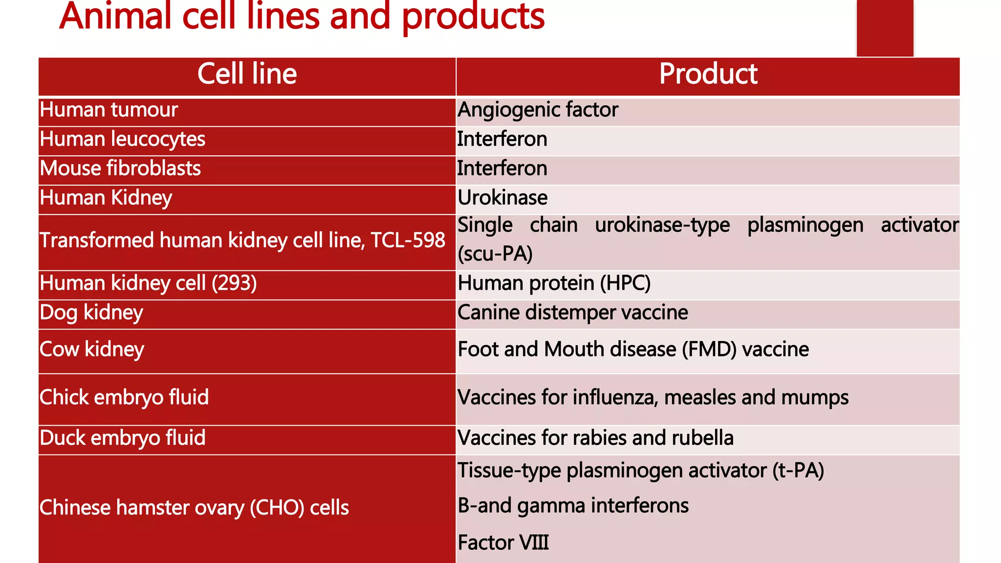 Cell lines PPTX