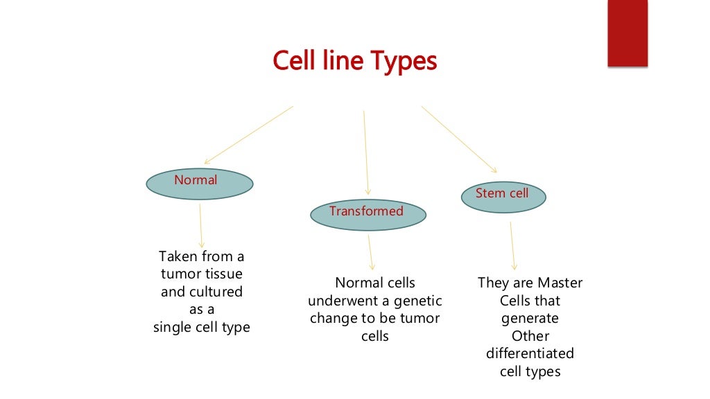 Cell lines