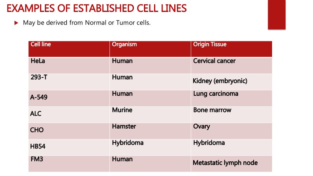 Cell lines
